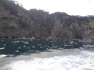 iwate 035.JPG